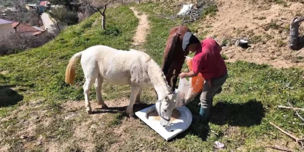 Ayda 240.000 TL kazandırıyor, kimse çalışmıyor: ’20 yıl içerisinde tamamen bitebilir’ 2